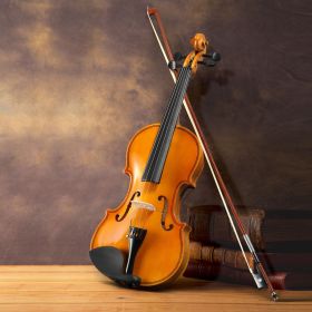 [Do Not Sell on Amazon]Full Size 4/4 Violin Set for Adults Beginners Students with Hard Case,Violin Bow,Shoulder Rest,Rosin,Extra Strings and Sor